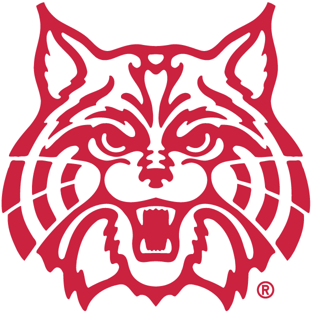 Arizona Wildcats 1990-Pres Alternate Logo v3 iron on transfers for fabric